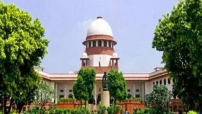 Task force must consult IMA, says Supreme Court