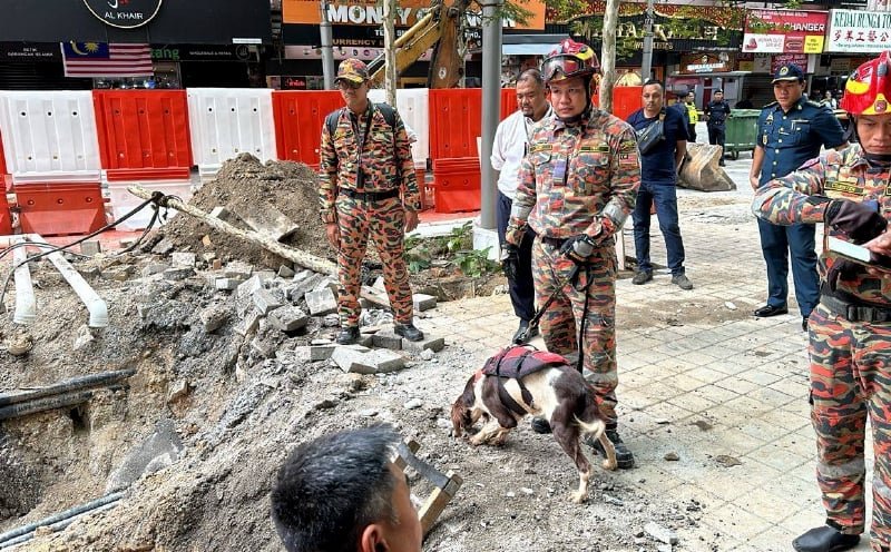 Frankie and Denti back in action to help locate missing sinkhole victim