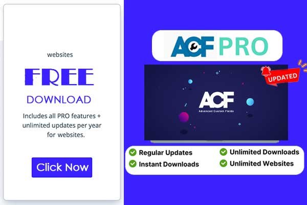 Get ACF Pro Plugin Without Cost