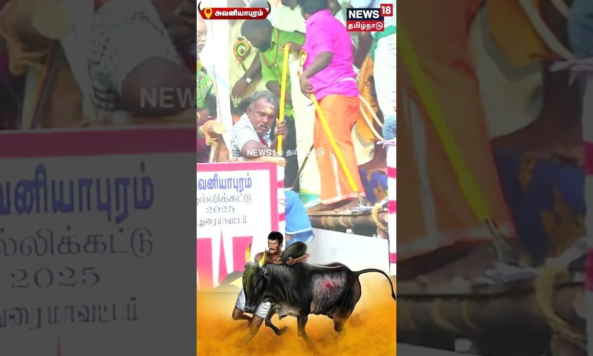 வீரரை சுழற்றி அடித்த மாடு | Avaniyapuram Jallikattu | Madurai | Tamil News | N18S